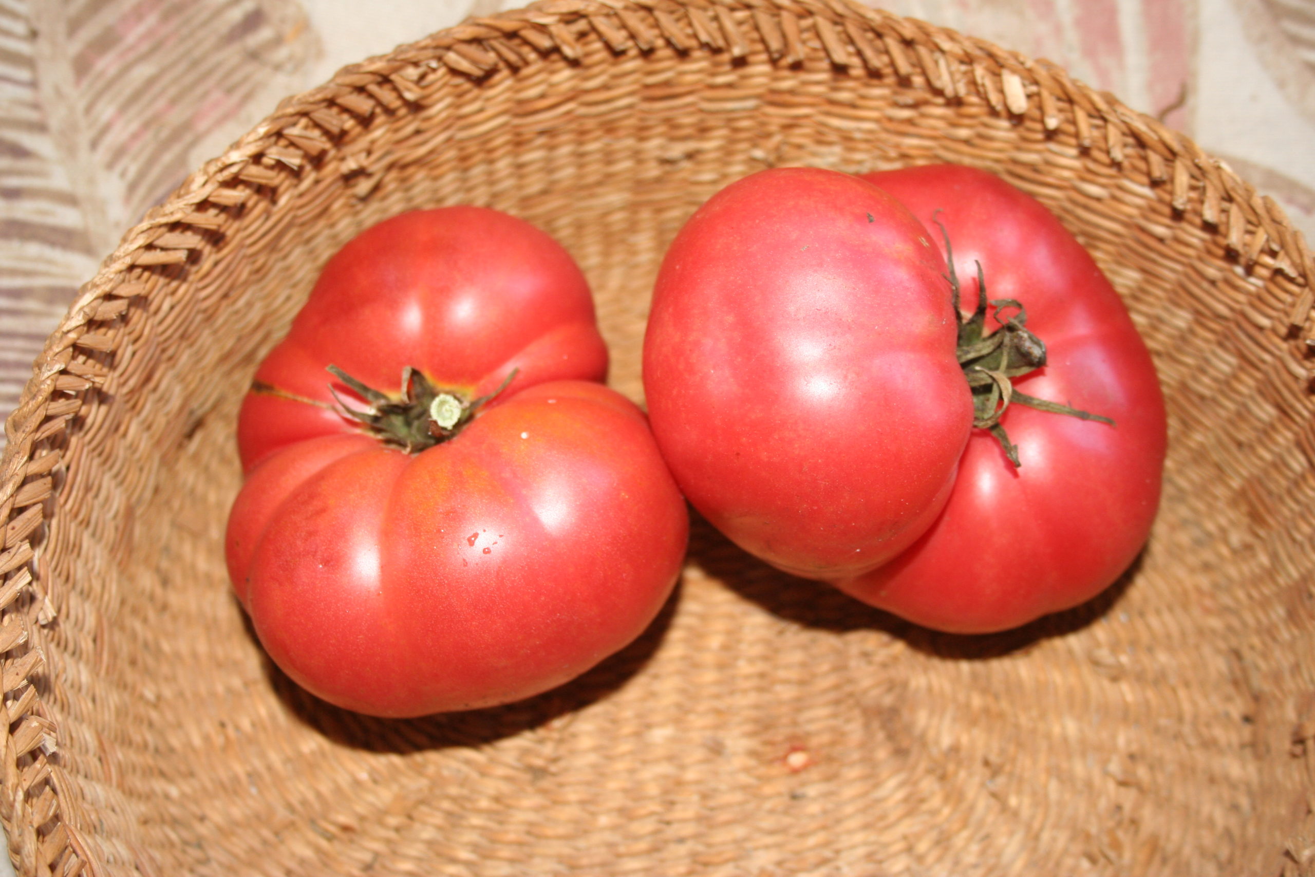 Beefsteak tomatoes are kings of summer flavor